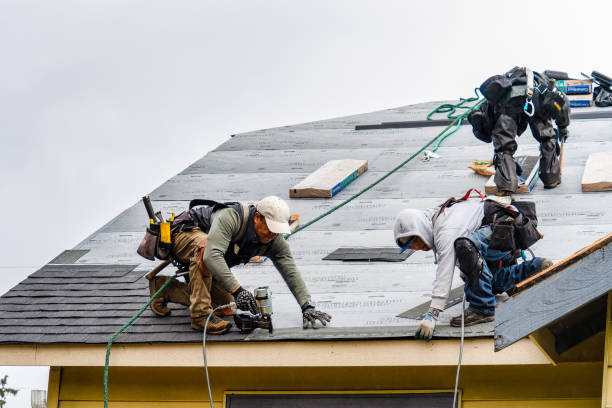 Professional Gutter Installation technician working in Gainesville, NY